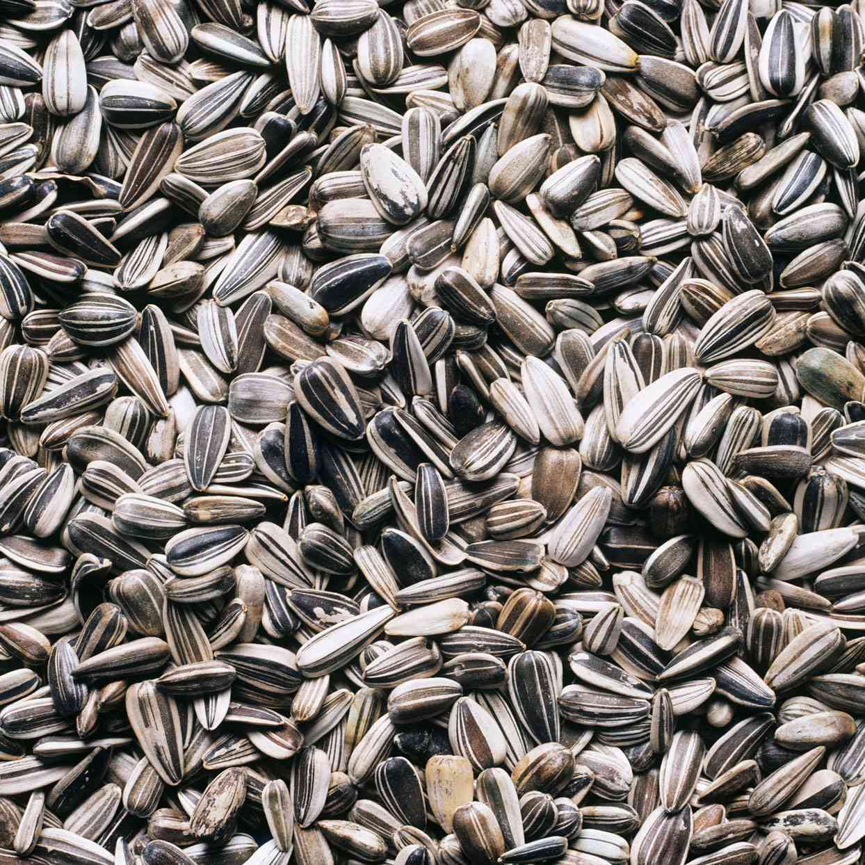 Sunflower Oil | Cold Pressed Oils